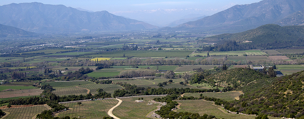 Colchagua Valley Courtesy of Casa Silva Winery