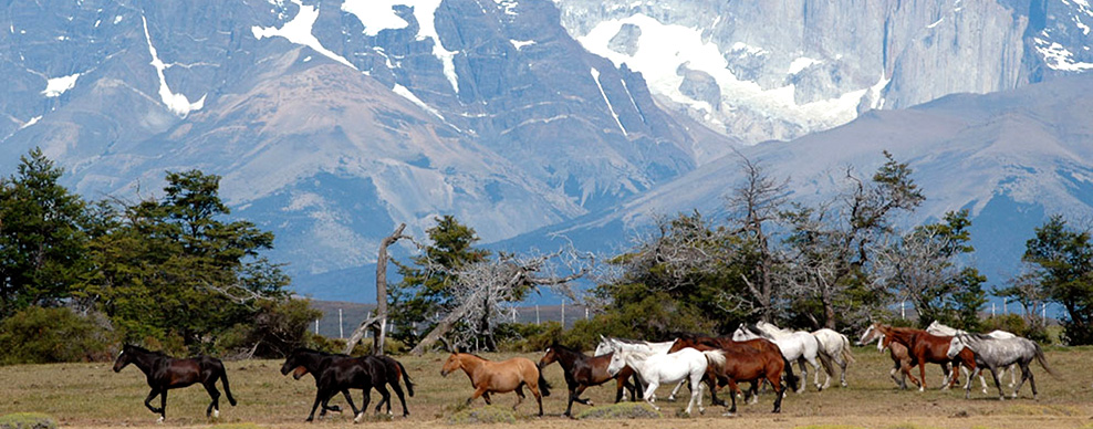 Patagonia - Courtesy of Cerro Guido